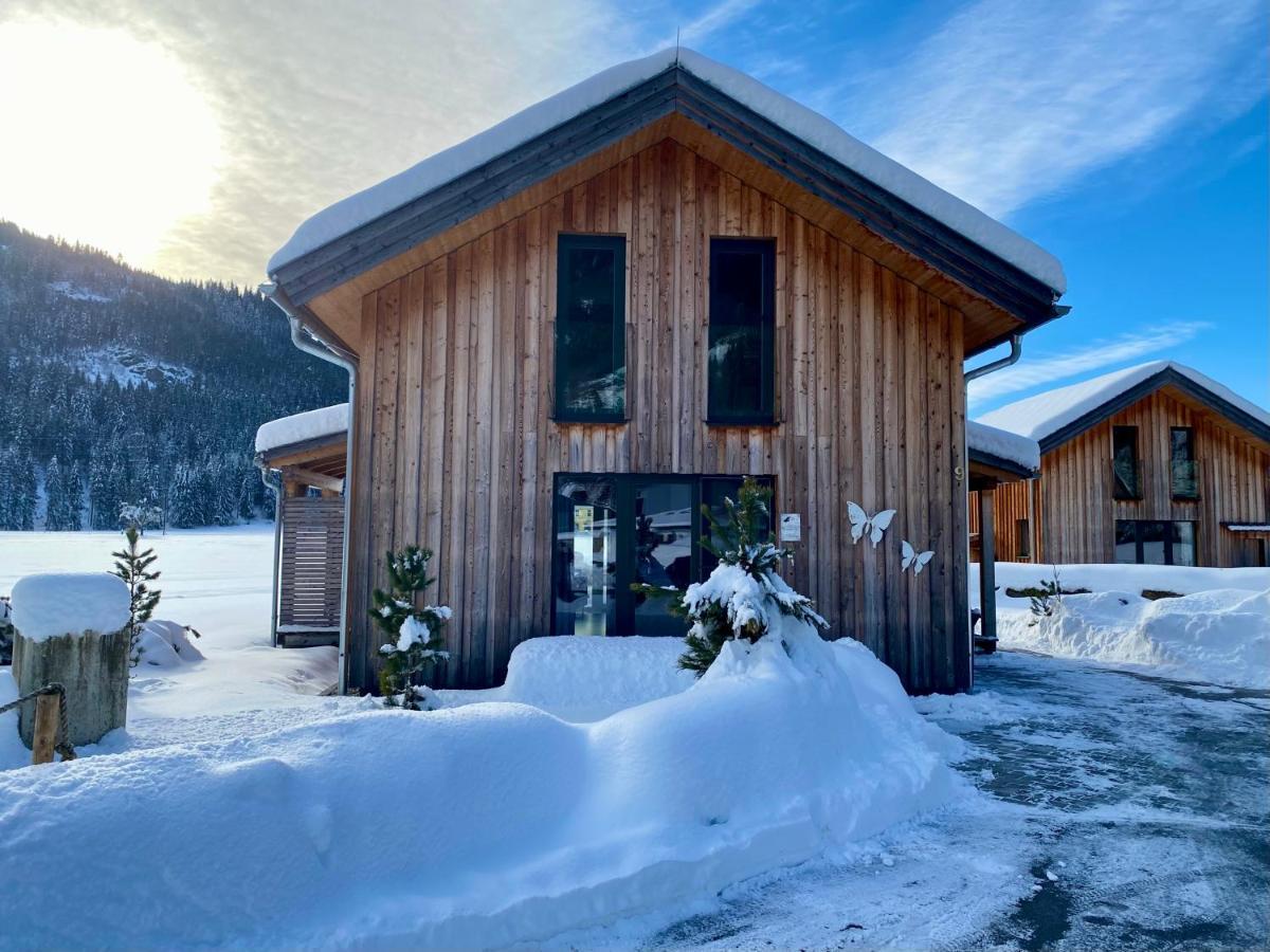 Bellevue * Murau